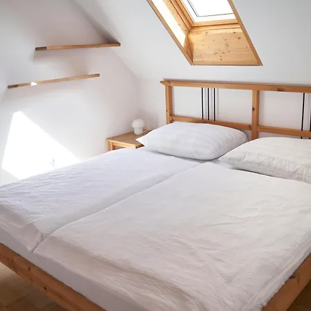 Dragon Apartment