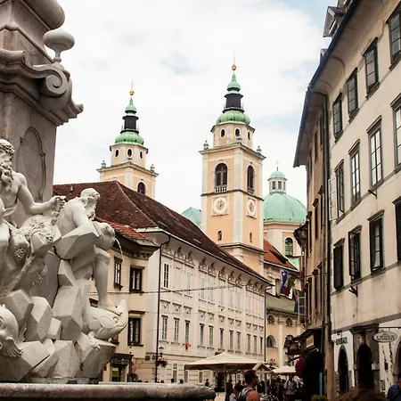 Διαμέρισμα Dragon *